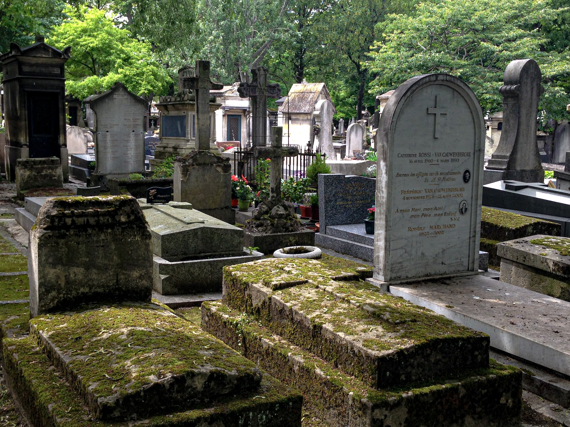 1 listopada koniecznie zajrzyj na Cmentarz Centralny w Sanoku. Będzie tam kwesta na remont zabytkowego grobu!