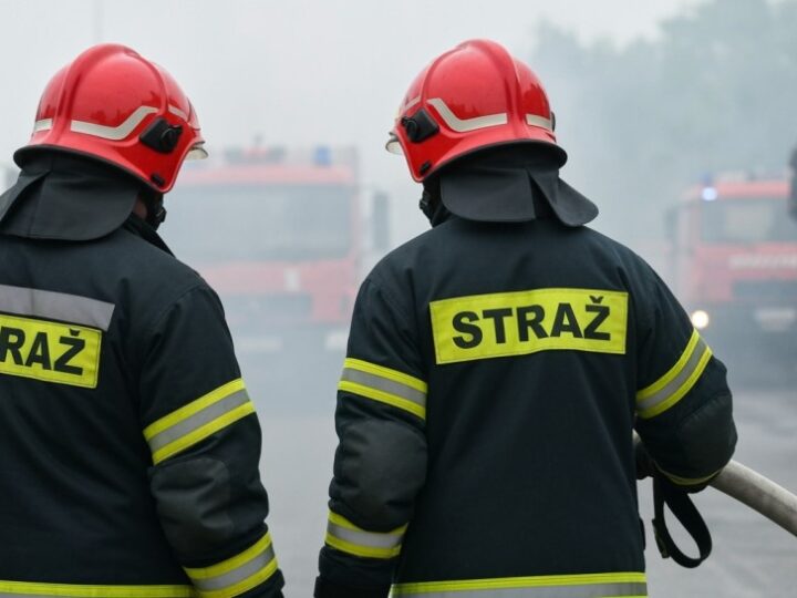 Gaszenie pożarów w wirtualnej rzeczywistości: Spotkanie w Stróżach Małych