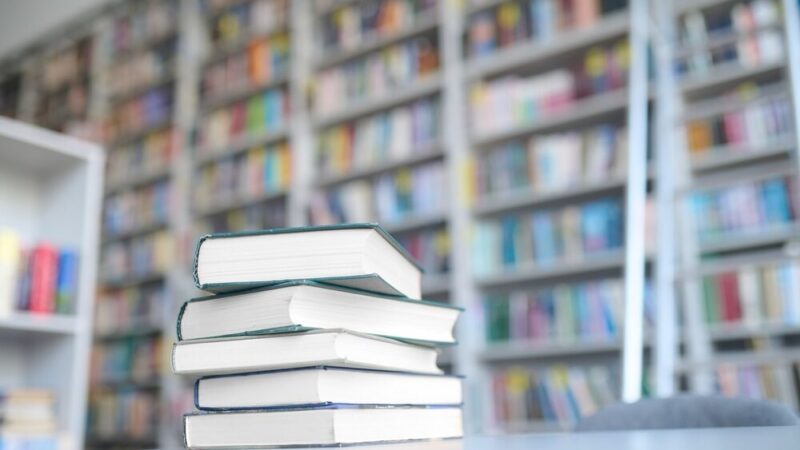 Ania Strzelecka wprowadza dzieci w świat snów z „Pa-pa dniu