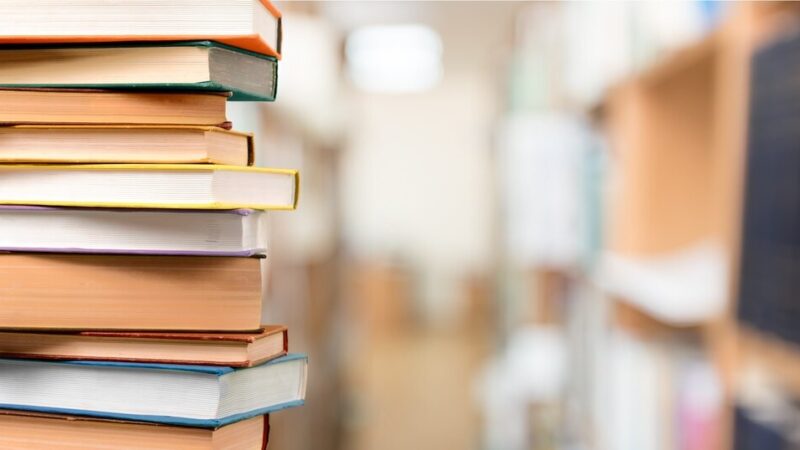 Odkrycie Apolonii Machczyńskiej: Wzruszająca historia bohaterki w książce Grażyny Plebanek