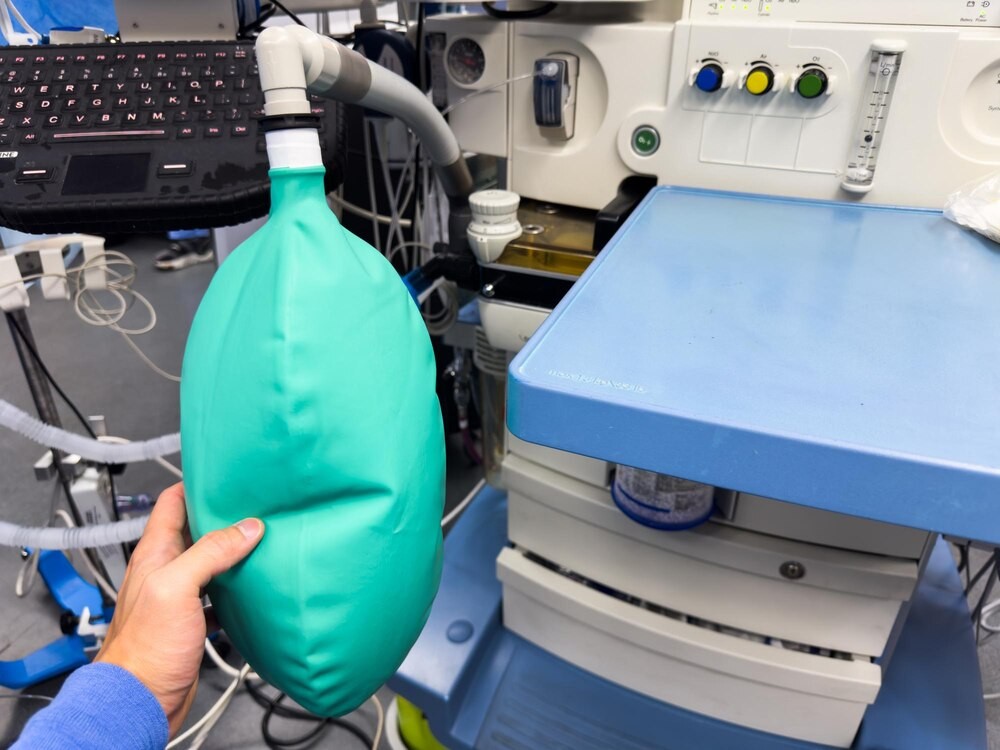 Podkarpacie w walce z grypą ptaków: Nowe przepisy wchodzą w życie