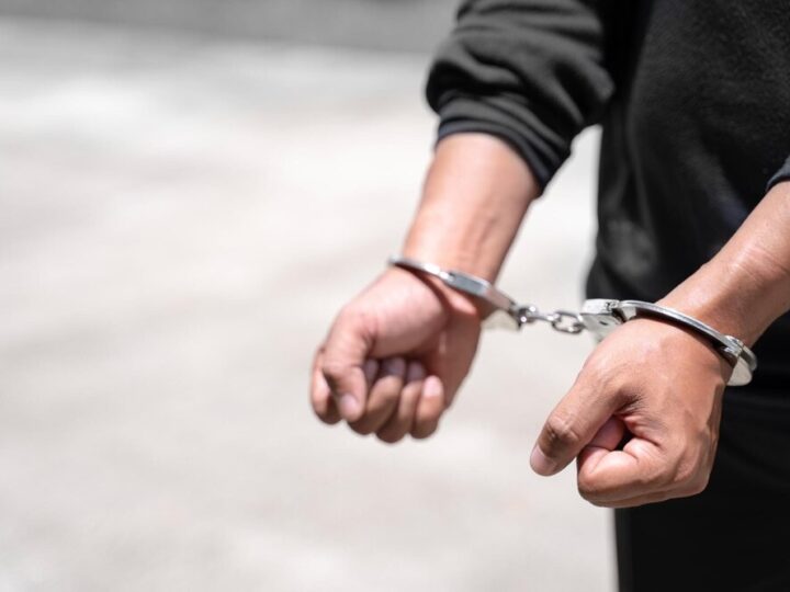 Bezpieczny Ogród: Policja zachęca do ochrony działek