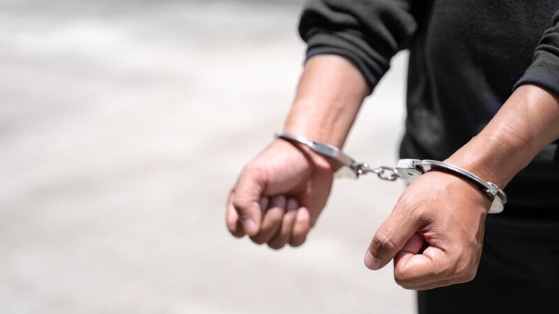 Bezpieczny Ogród: Policja zachęca do ochrony działek