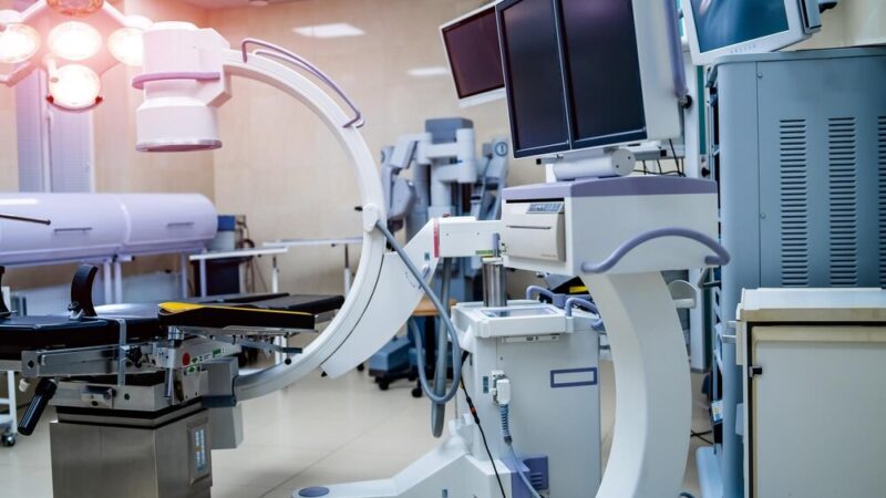 Wiosenna akcja szczepień dzikich lisów w Podkarpackiem rusza w kwietniu