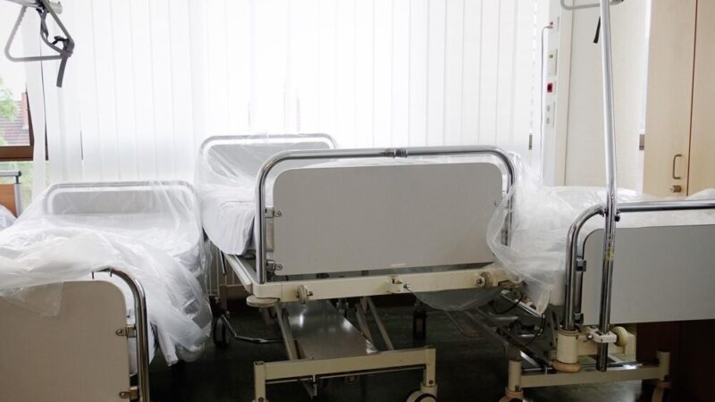 Bezpieczne Podkarpacie: Szczepienia lisów przeciw wściekliźnie już w kwietniu!