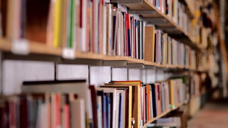 Odkryj magiczny świat Jana Brzechwy w bibliotece