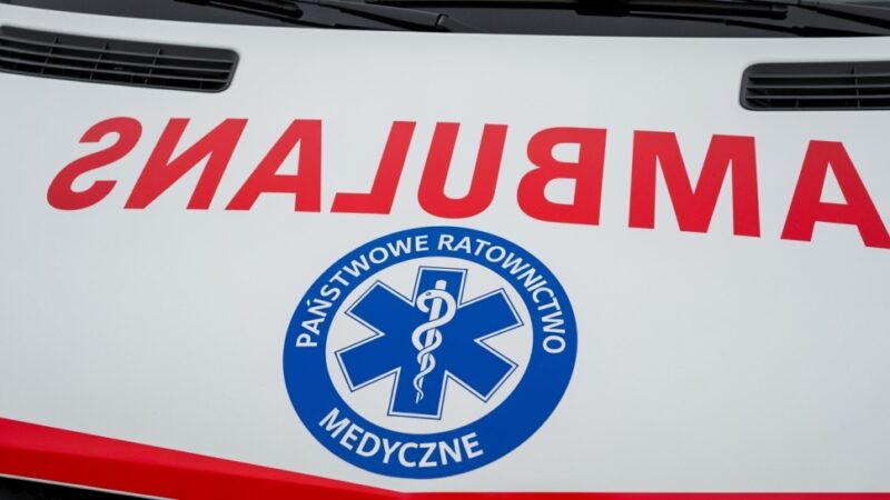 Niedźwiedź w Besku – mieszkańcy, bądźcie czujni!
