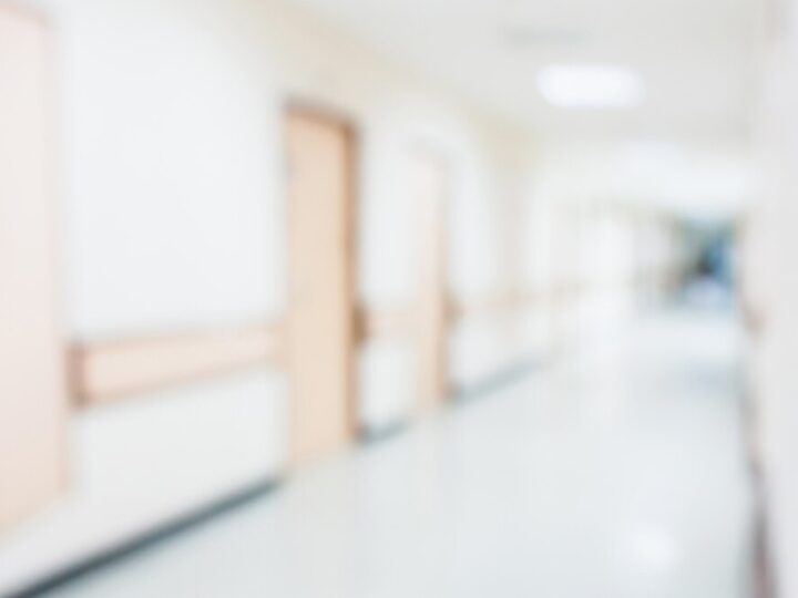 Akcja szczepienia lisów przeciwko wściekliźnie w Gminie Sanok – szczegóły i terminy