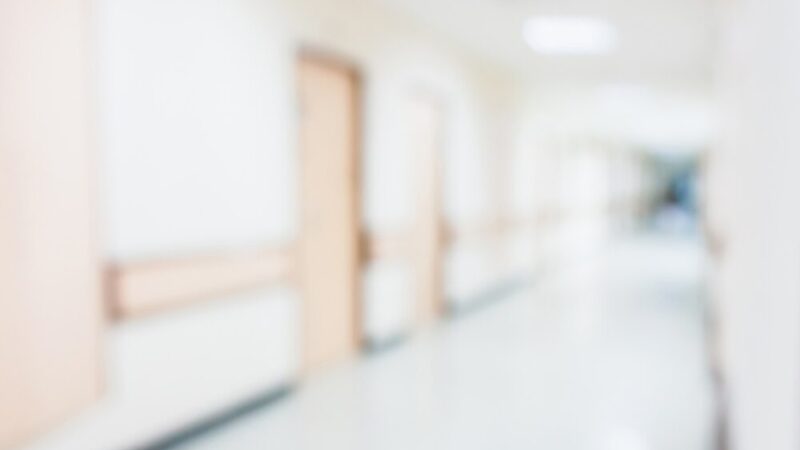 Akcja szczepienia lisów przeciwko wściekliźnie w Gminie Sanok – szczegóły i terminy