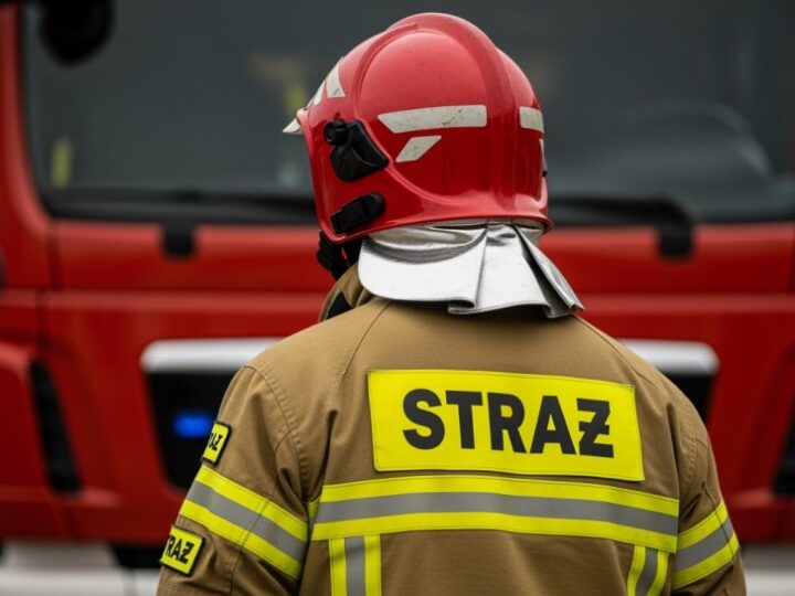 Konkurs na plakat: Jak chronić lasy przed pożarami?